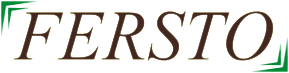 Image result for fersto logo