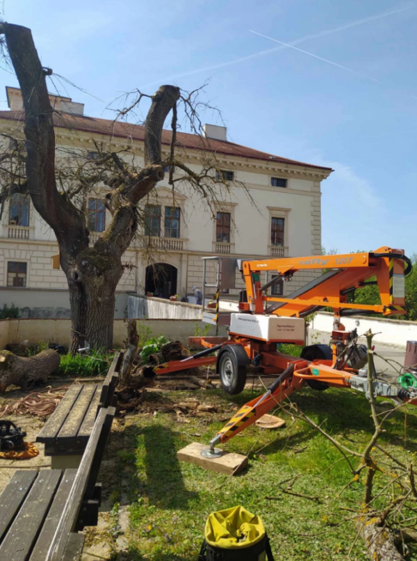 Hledáme posilu do arboristické firmy – Tišnovsko